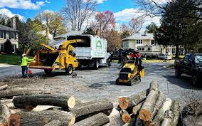 Best Weed Control  in Fort Belvoir, VA