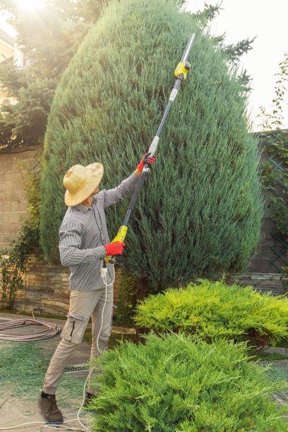 Best Artificial Turf Installation  in Fort Belvoir, VA